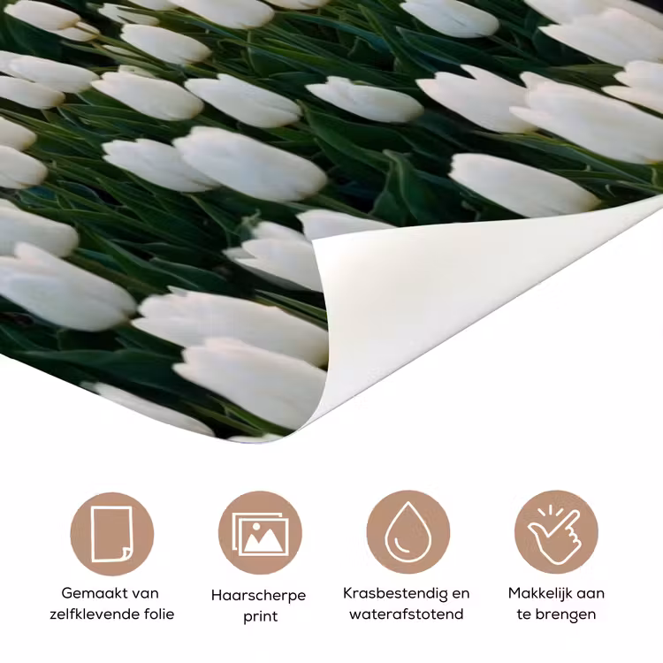 Deursticker - Tulpen - Landschap - Wit — 3
