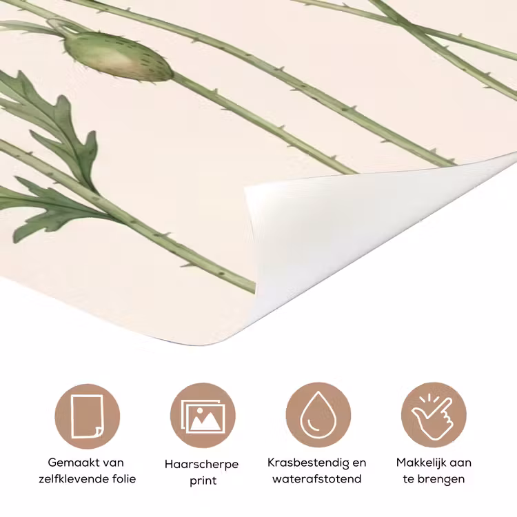 Deursticker - Vlinders - Klaprozen - Illustratie - Kleurrijk — 3