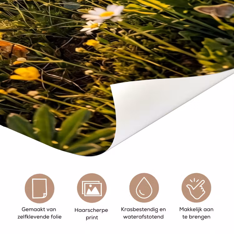 Deursticker - Vlinders - Waterval - Bloemenveld — 3