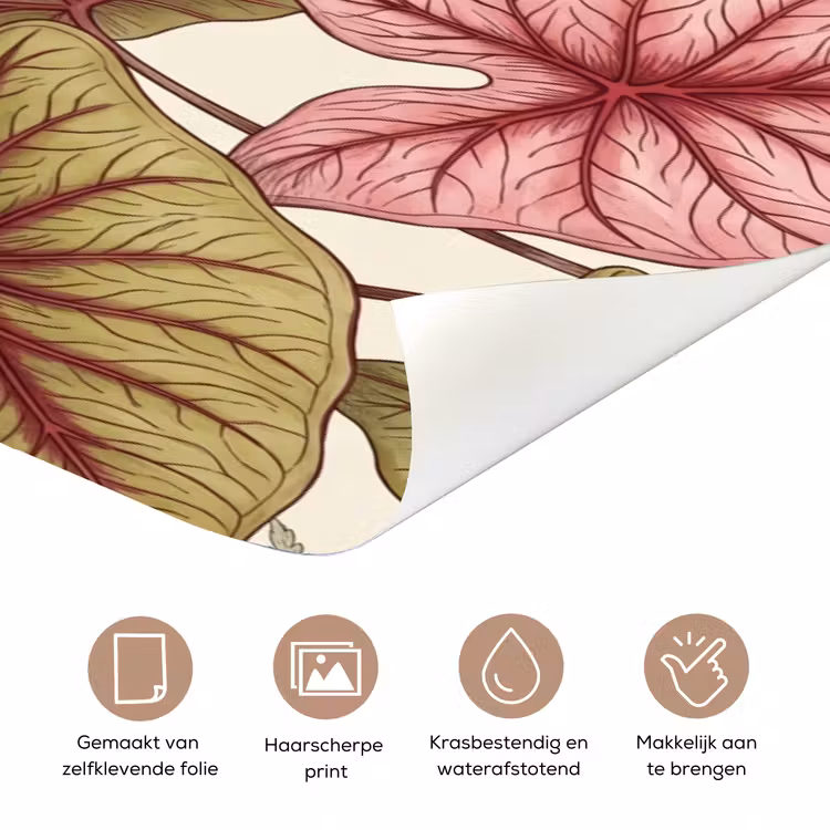 Deursticker - Vogels - Tropisch - Botanisch - Roze — 3