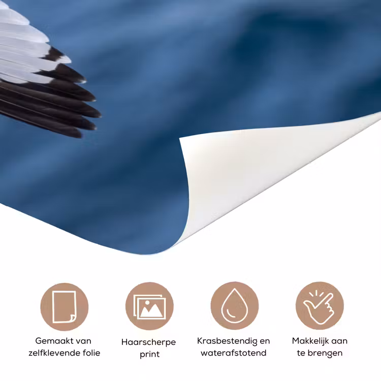 Deursticker - Zeemeeuw - Oceaan - Blauw — 3