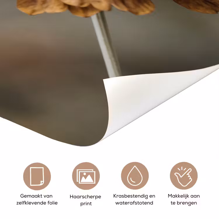 Deursticker - Zonnehoed - Droogbloemen - Geel - Warm — 3