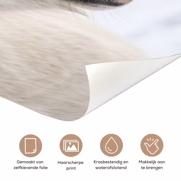 Deursticker - Paard - Kop - Winter - Dieren - Wit — 3