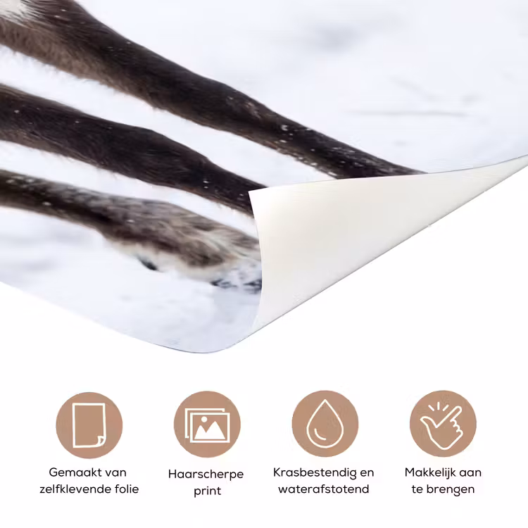 Deursticker - Rendier - Gewei - Toendra - Sneeuw - Wild — 3