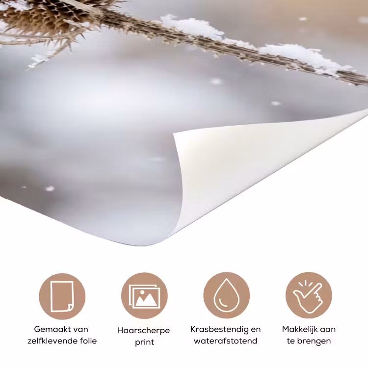 Deursticker - Roodborstje - Gedroogde bloem - Sneeuw - Winter - Vertederend — 3