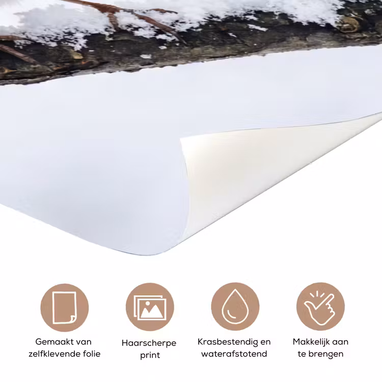 Deursticker - Roodborstje - Tak - Sneeuw - Winter - Levendig — 3