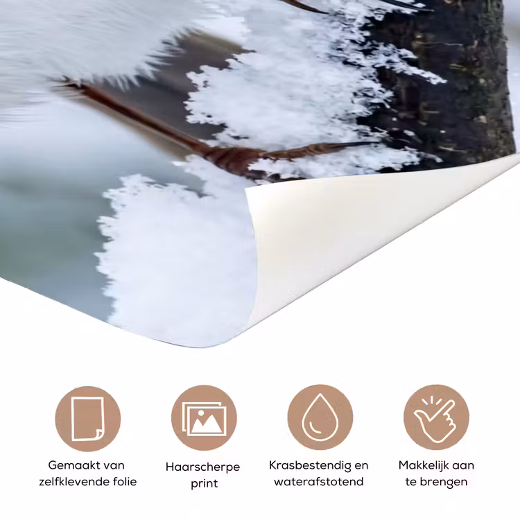 Deursticker - Roodborstje - Tak - Sneeuw - Winter - Levendig — 3