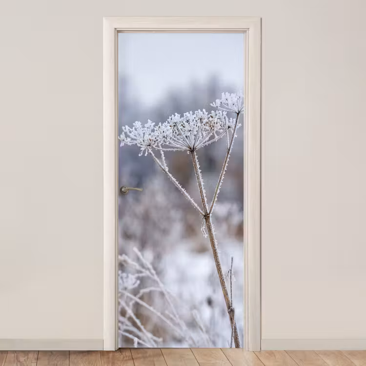 Deursticker - Schermbloem - Rijp - Kristallen - Winter - Delicaat — 1