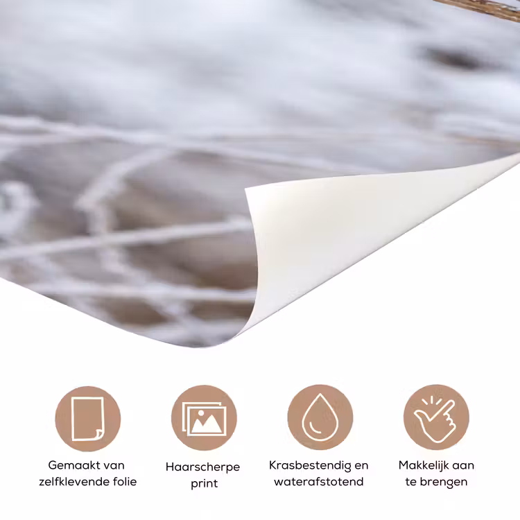 Deursticker - Schermbloem - Rijp - Kristallen - Winter - Delicaat — 3