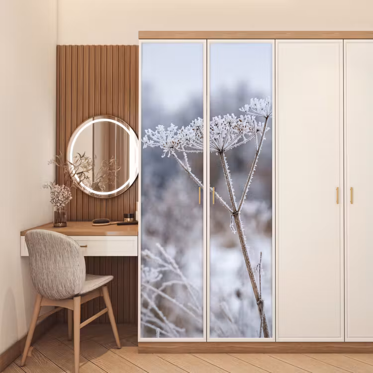 Deursticker - Schermbloem - Rijp - Kristallen - Winter - Delicaat — 5