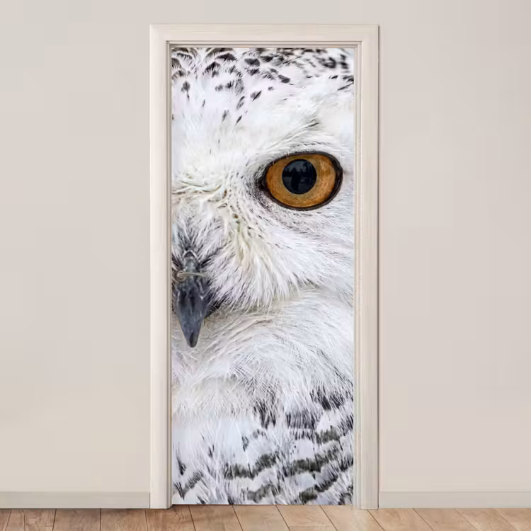 Deursticker - Sneeuwuil - Oog - Wildlife - Wit — 1