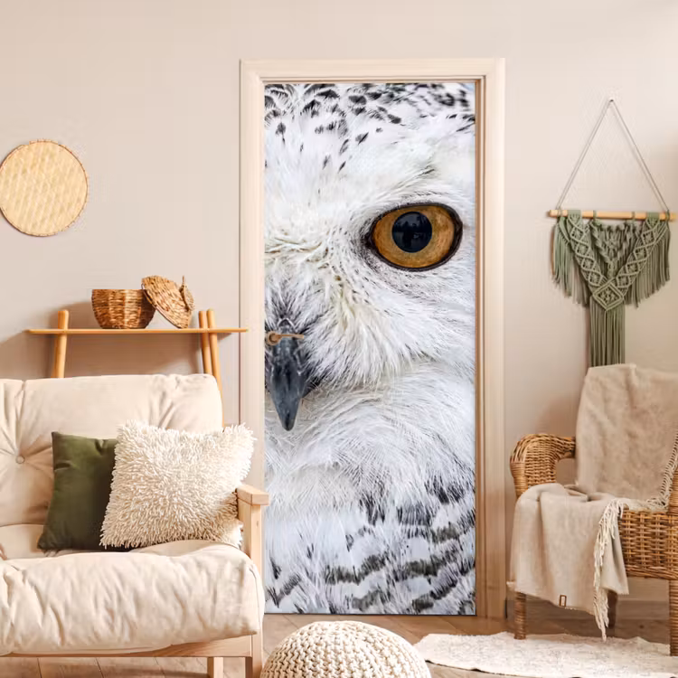 Deursticker - Sneeuwuil - Oog - Wildlife - Wit — 4