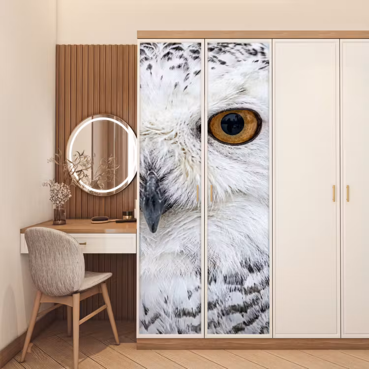 Deursticker - Sneeuwuil - Oog - Wildlife - Wit — 5