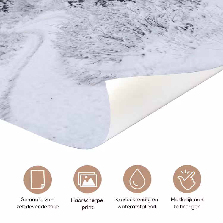 Deursticker - Weg - Bergen - Sneeuw - Naaldbos - Avontuurlijk — 3