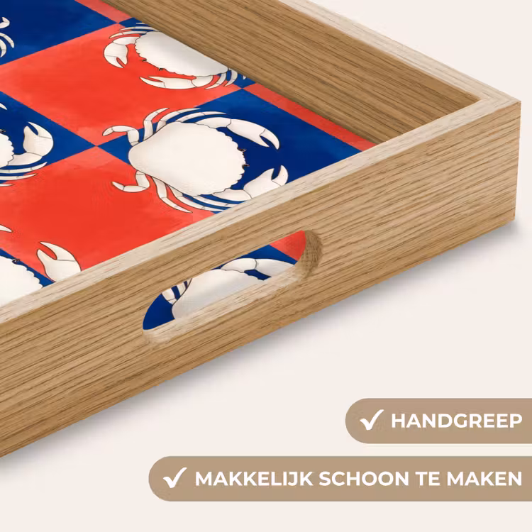 Dienblad - Patroon - Zeeleven - Rood - Blauw - Abstract — 5