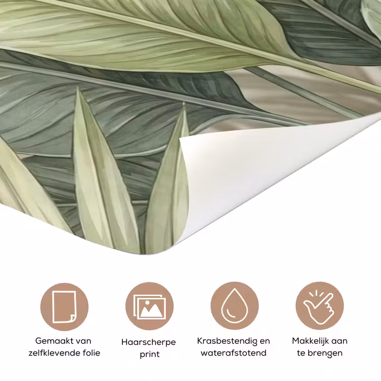 Deursticker - Planten - Tropisch - Bladeren - Groen - Natuur — 3