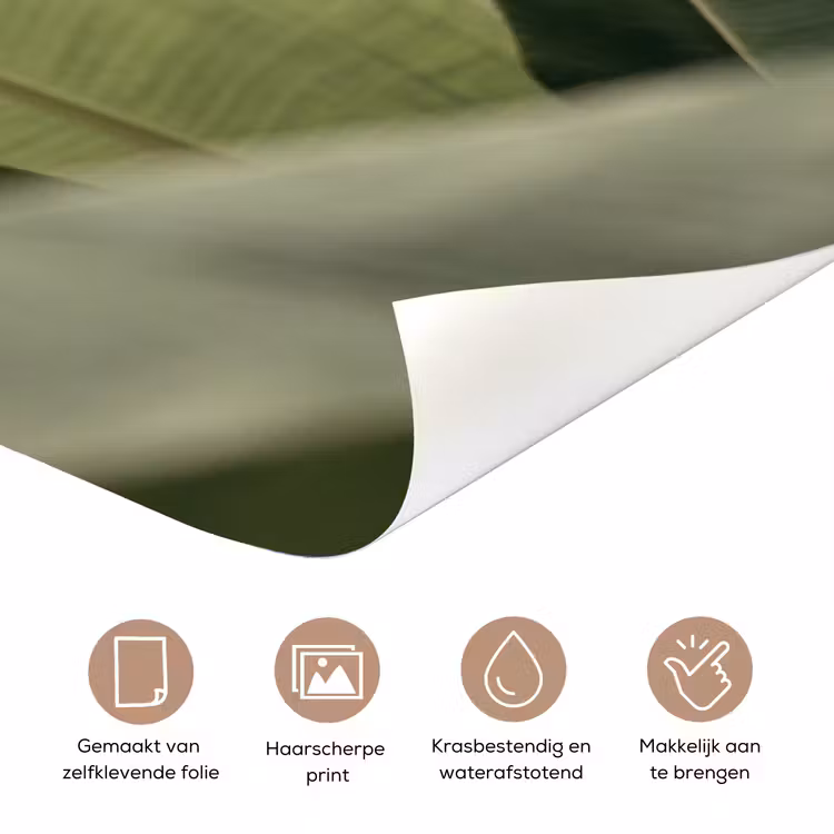 Deursticker - Natuur - Bladeren - Groen - Tropisch - Detail — 3
