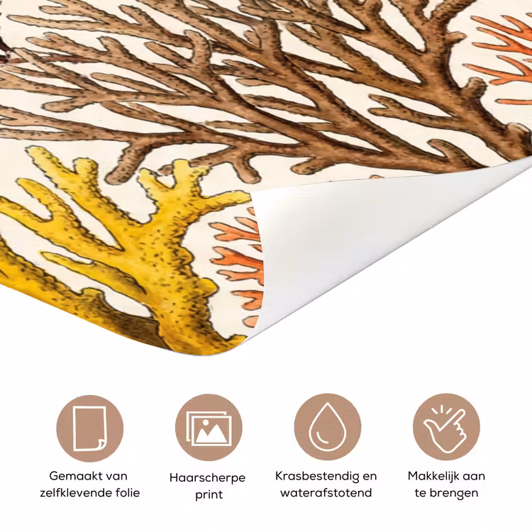 Deursticker - Natuur - Onderwater - Botanisch - Vintage - Kleurrijk — 3