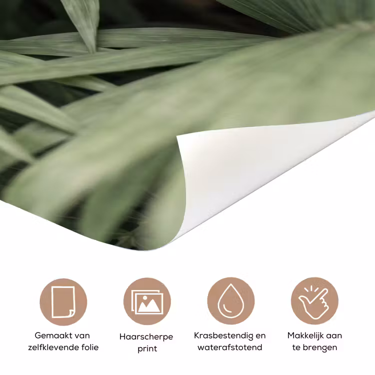 Deursticker - Plant - Palmbladeren - Natuur - Groen — 3