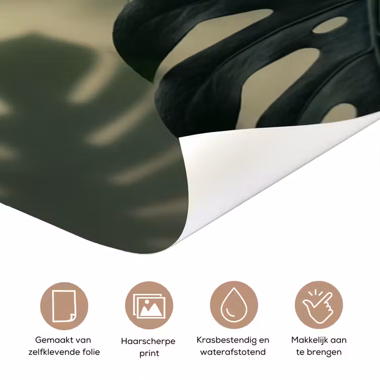 Deursticker - Planten - Bladeren - Schaduwen - Groen - Modern — 3