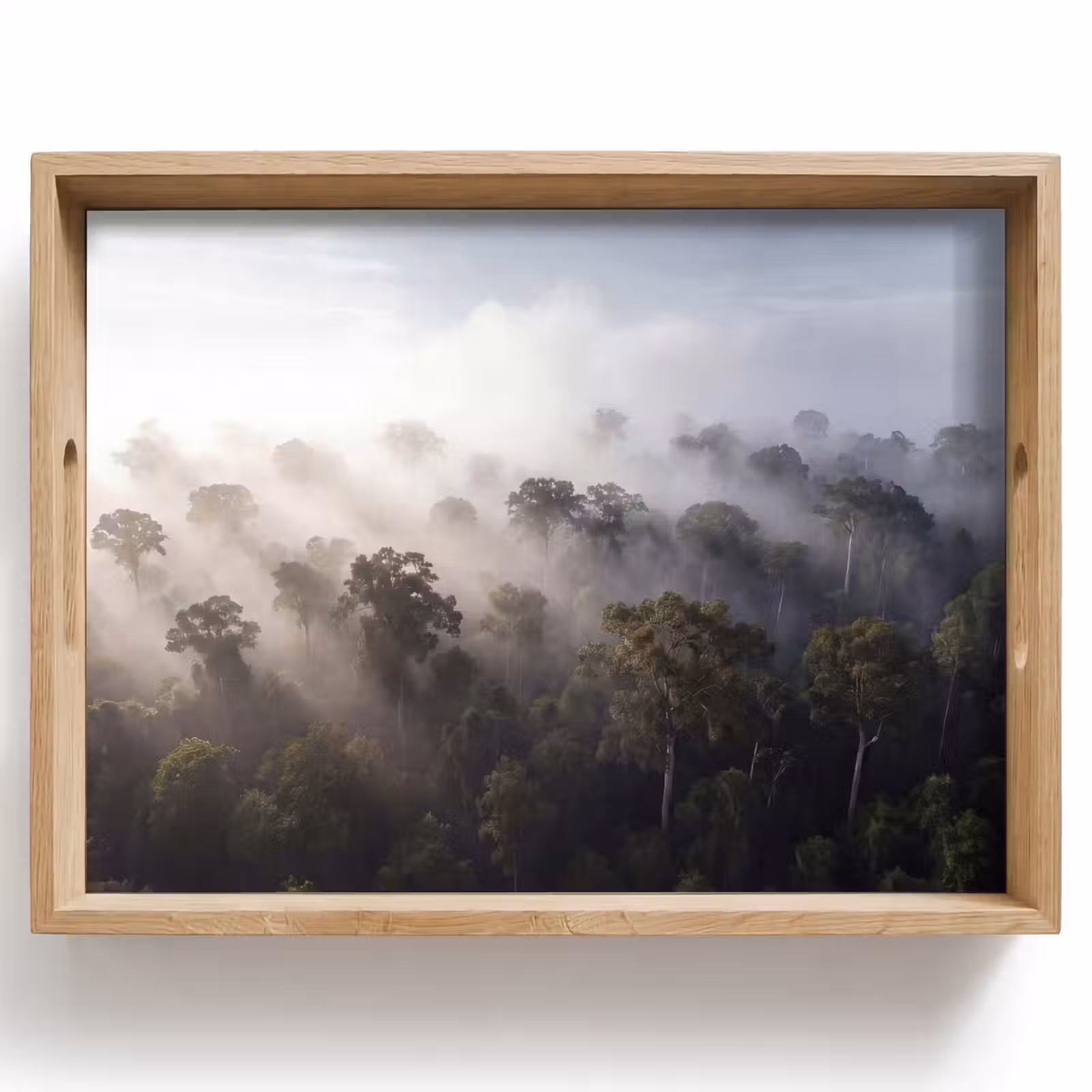 Dienblad - Bos - Mist - Natuur - Groen — 1