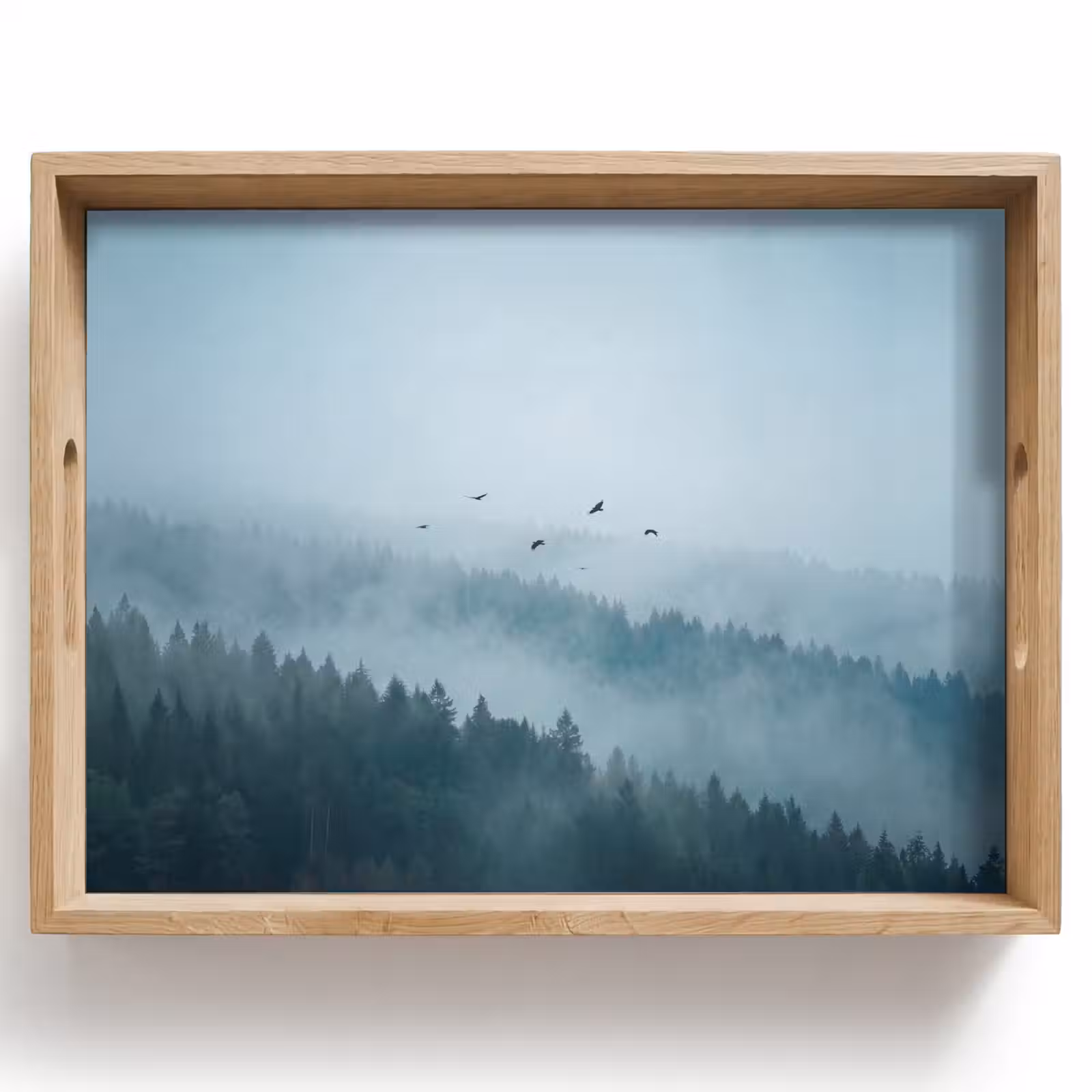 Dienblad - Bos - Mist - Vogels - Natuur - Groen — 1