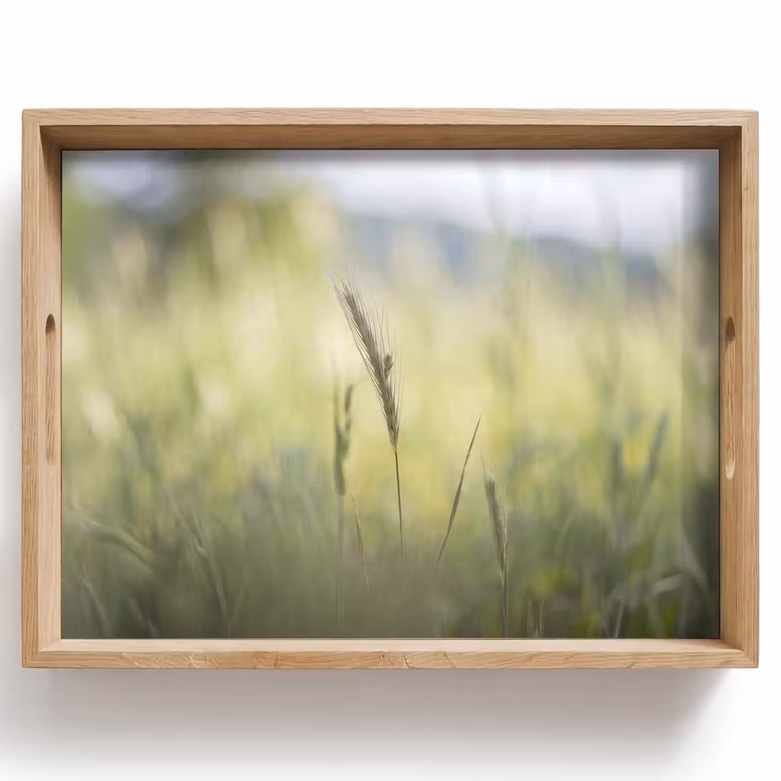 Dienblad - Graan - Aar - Natuur - Groen - Detail — 1