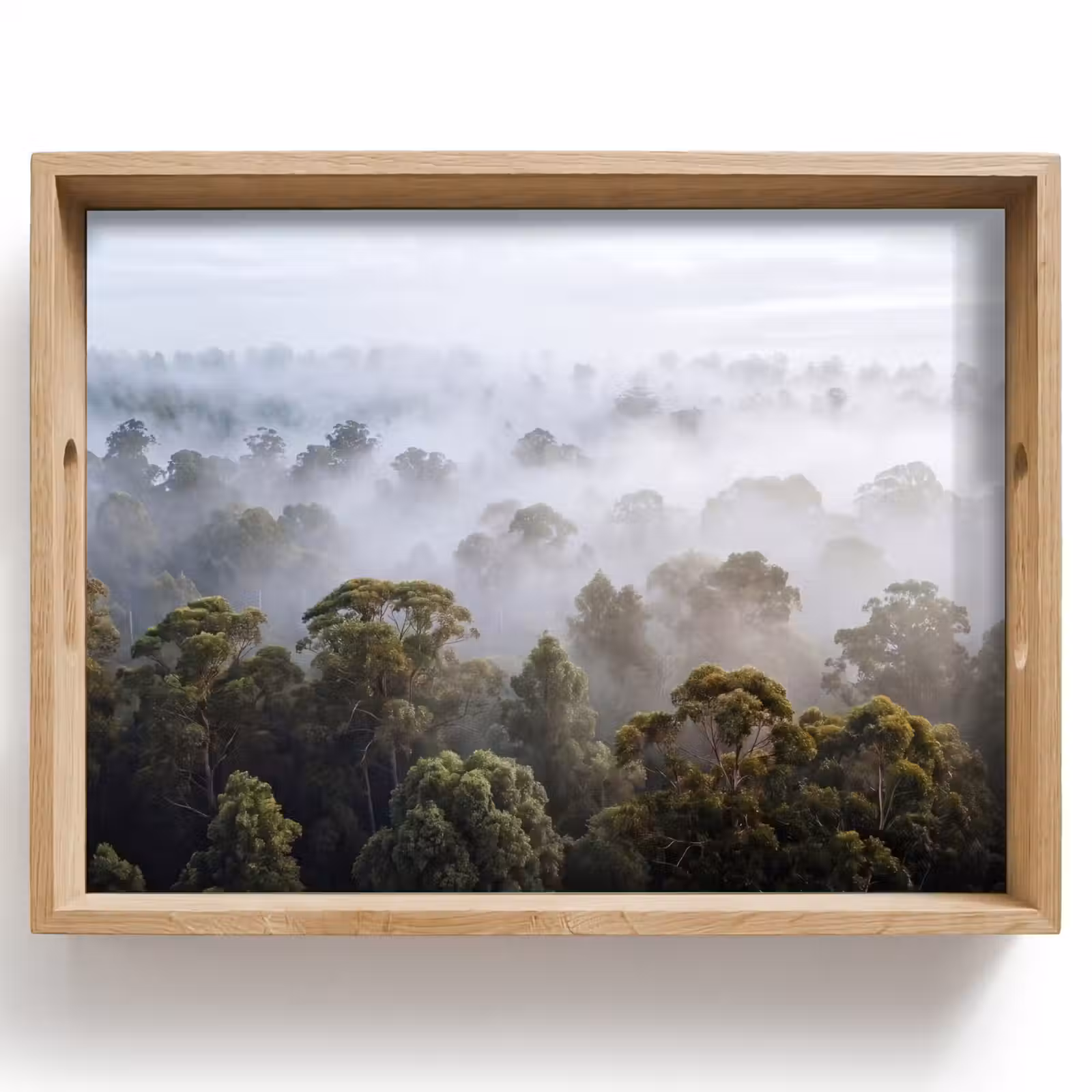 Dienblad - Natuur - Mist - Bos - Ochtend - Goud — 1