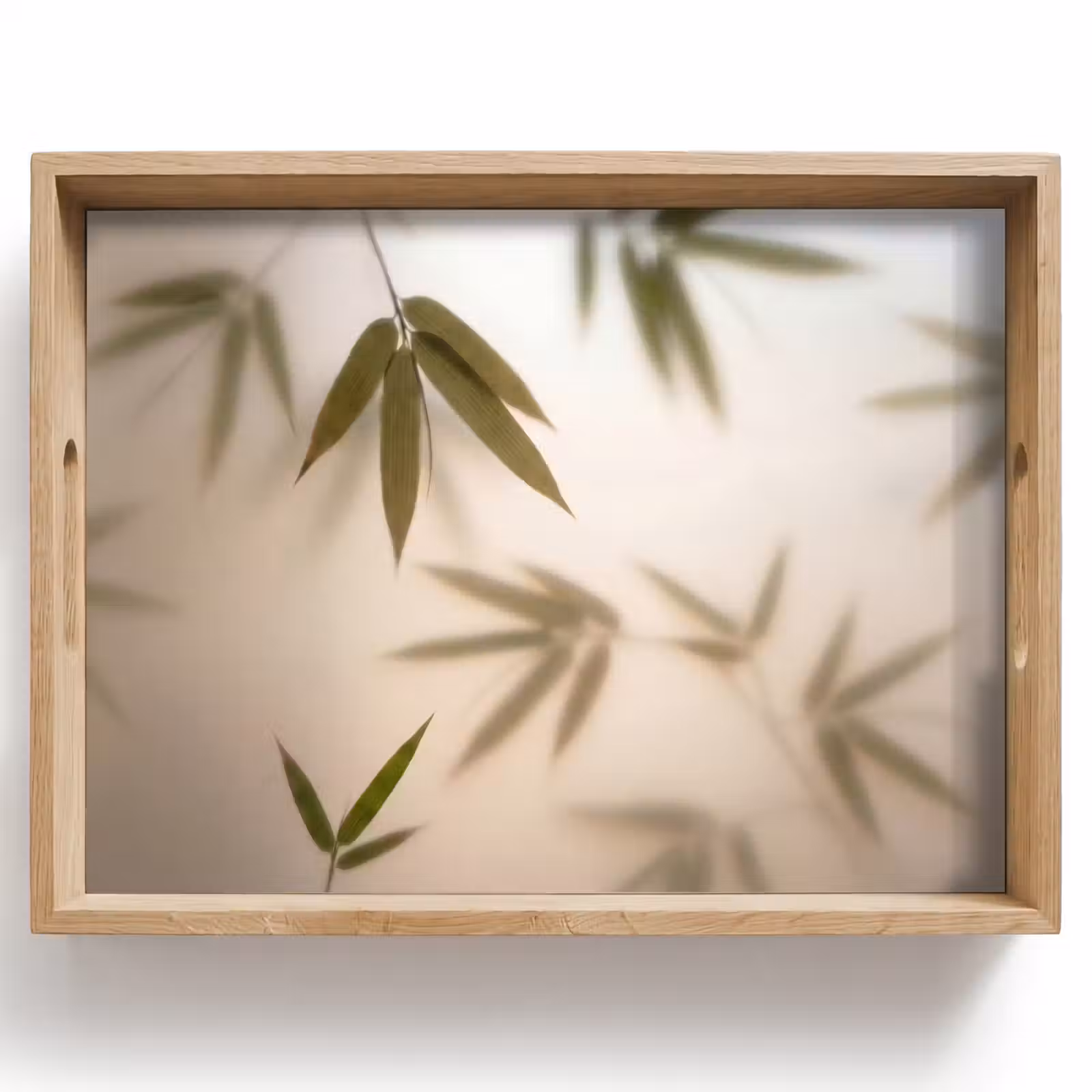 Dienblad - Planten - Bladeren - Natuur - Groen — 1