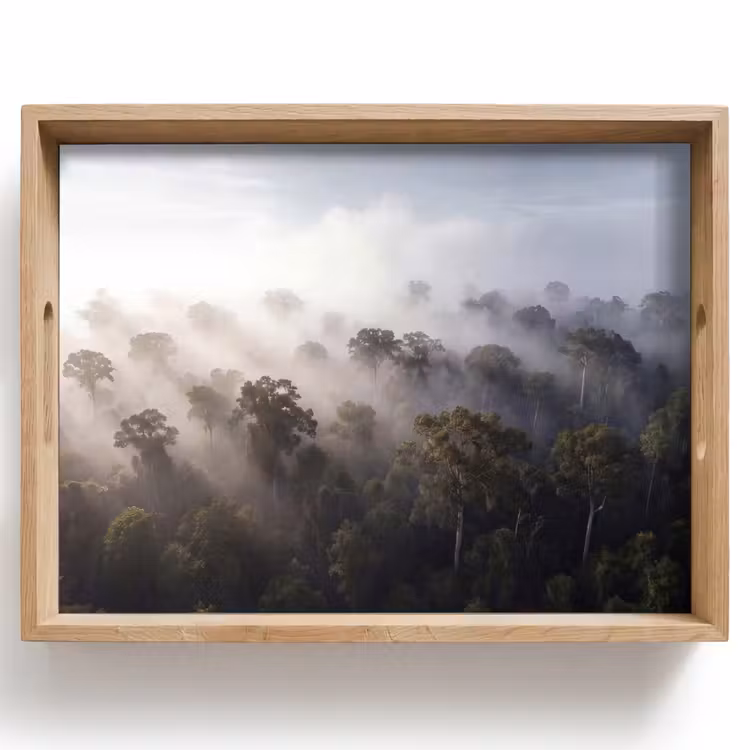 Dienblad - Bos - Mist - Natuur - Groen — 1