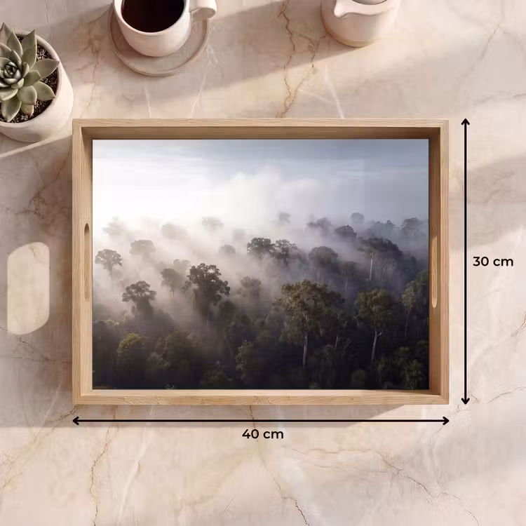 Dienblad - Bos - Mist - Natuur - Groen — 9