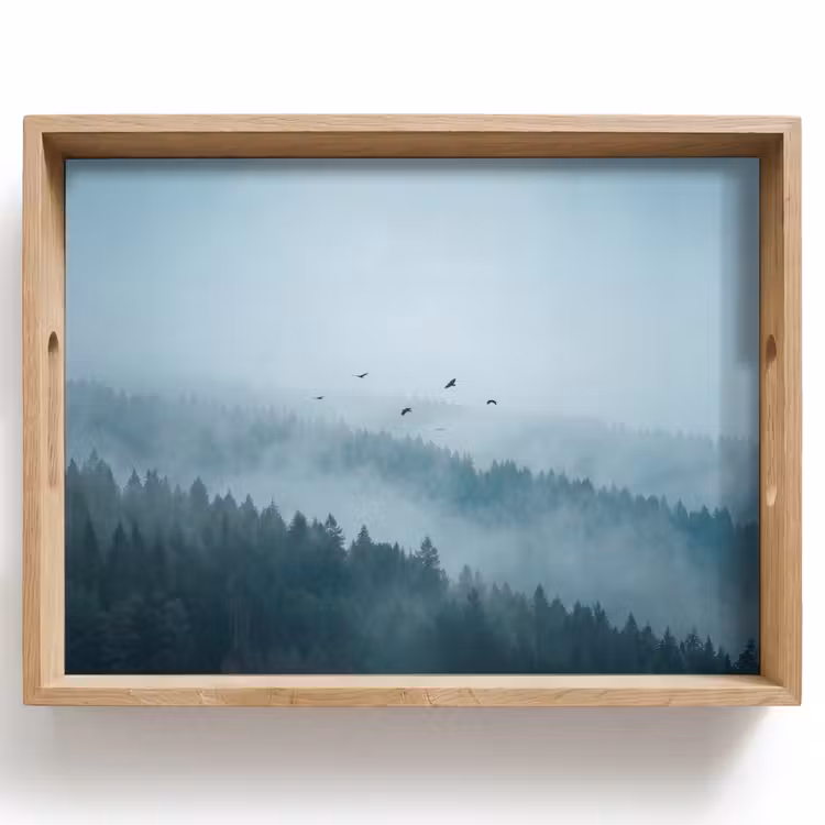 Dienblad - Bos - Mist - Vogels - Natuur - Groen — 1