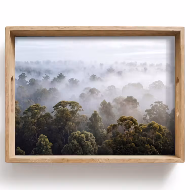 Dienblad - Natuur - Mist - Bos - Ochtend - Goud — 1