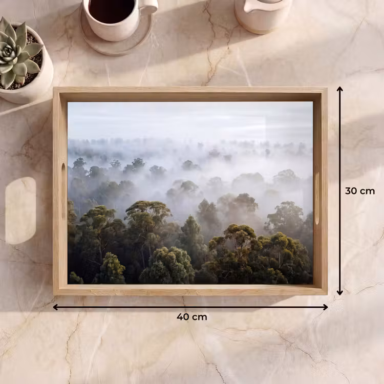 Dienblad - Natuur - Mist - Bos - Ochtend - Goud — 9