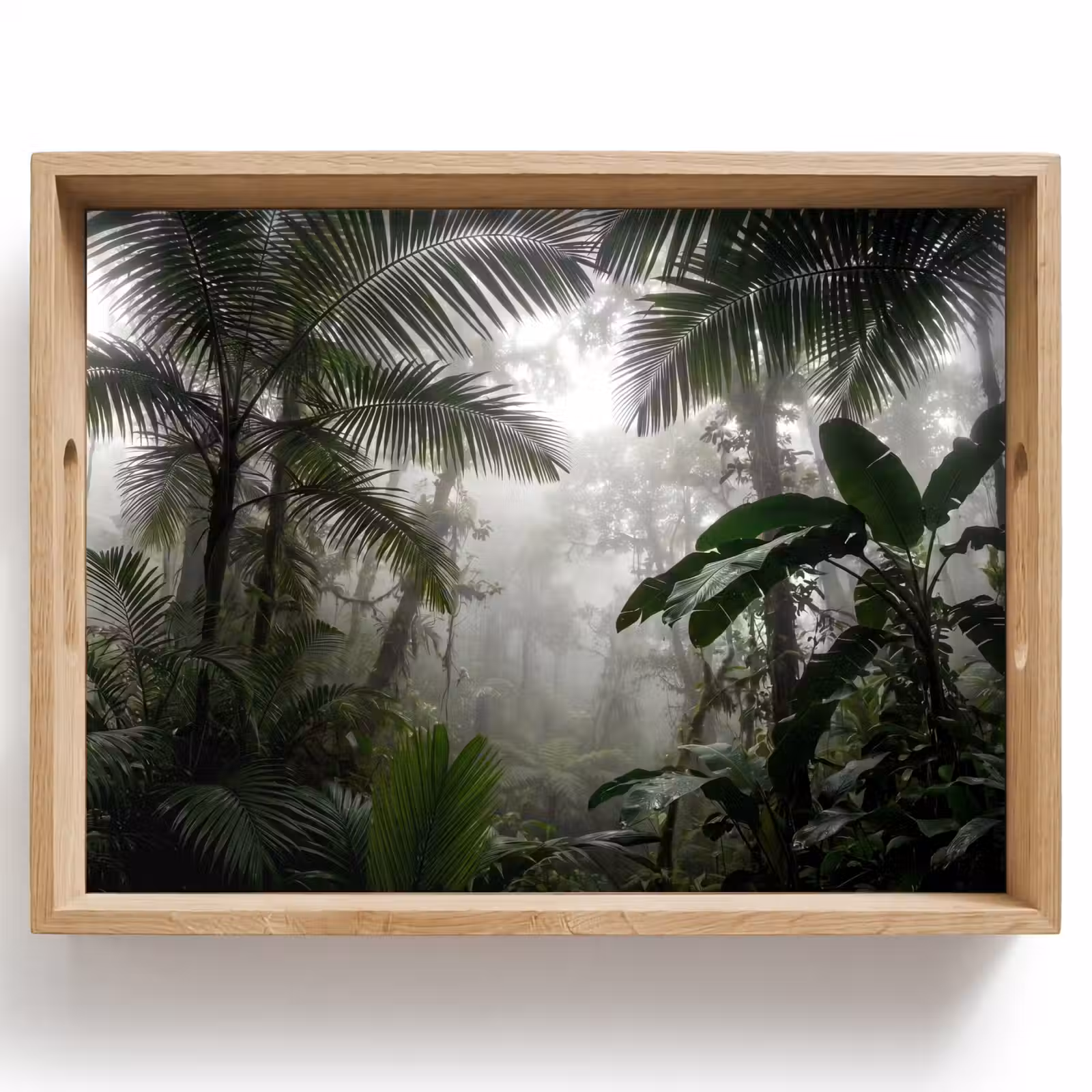 Dienblad - Natuur - Jungle - Mist - Groen - Bladeren — 1