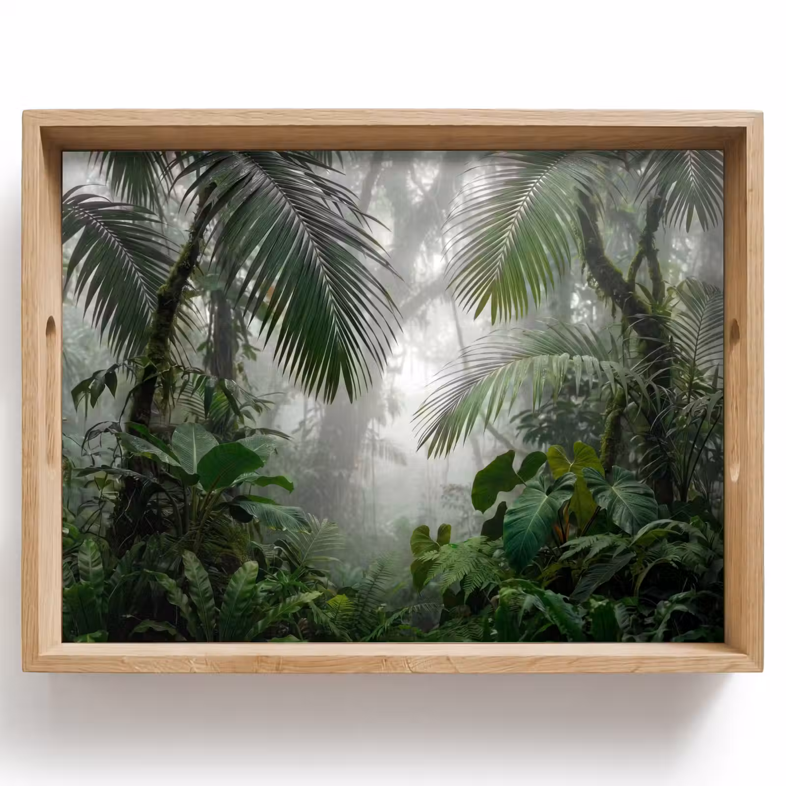 Dienblad - Natuur - Jungle - Mist - Tropisch - Groen — 1