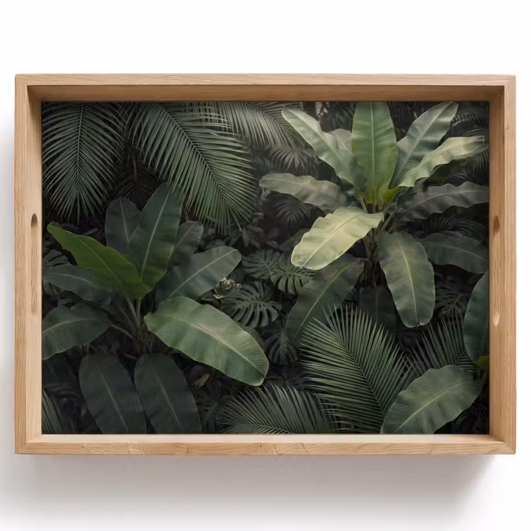 Dienblad - Bladeren - Groen - Tropisch - Natuur — 1