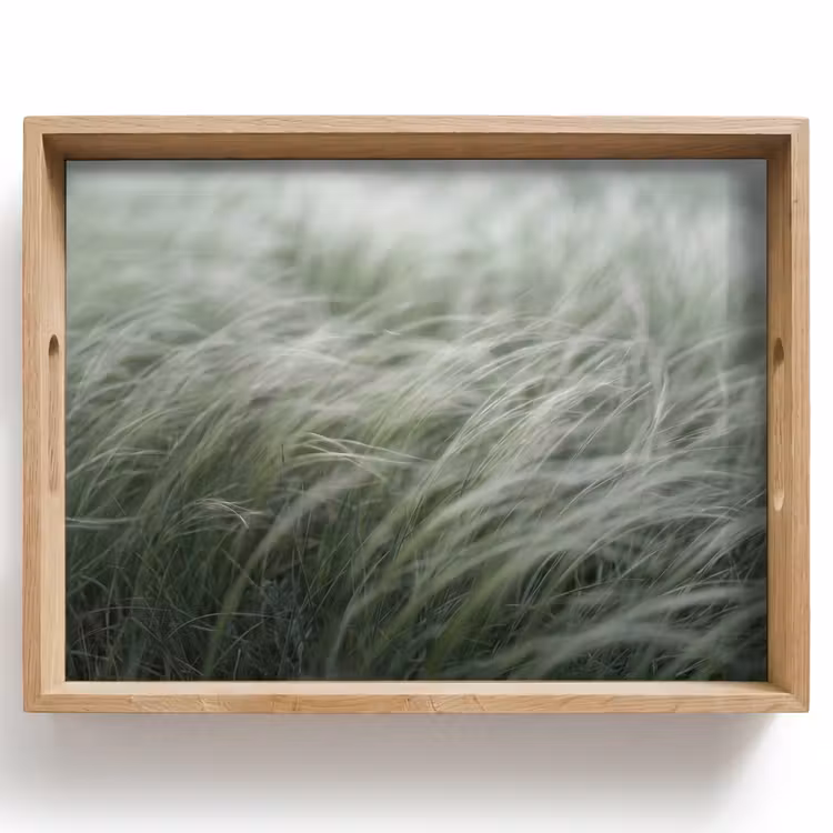 Dienblad - Gras - Wazig - Natuur - Groen - Zacht — 1