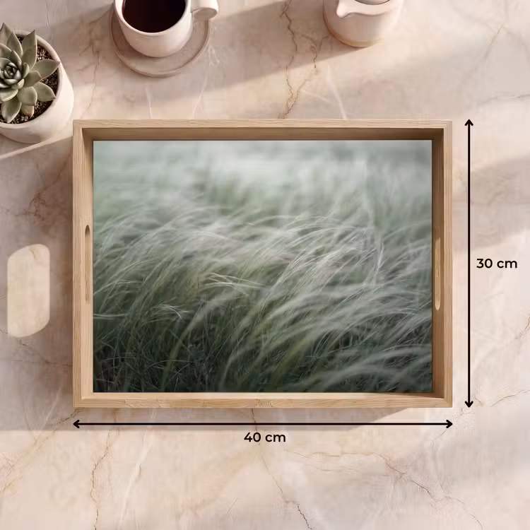 Dienblad - Gras - Wazig - Natuur - Groen - Zacht — 9