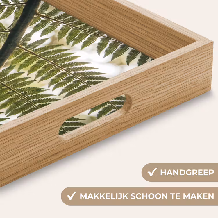 Dienblad - Plant - Blad - Natuur - Groen - Detail — 5