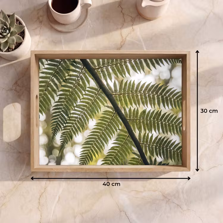 Dienblad - Plant - Blad - Natuur - Groen - Detail — 9