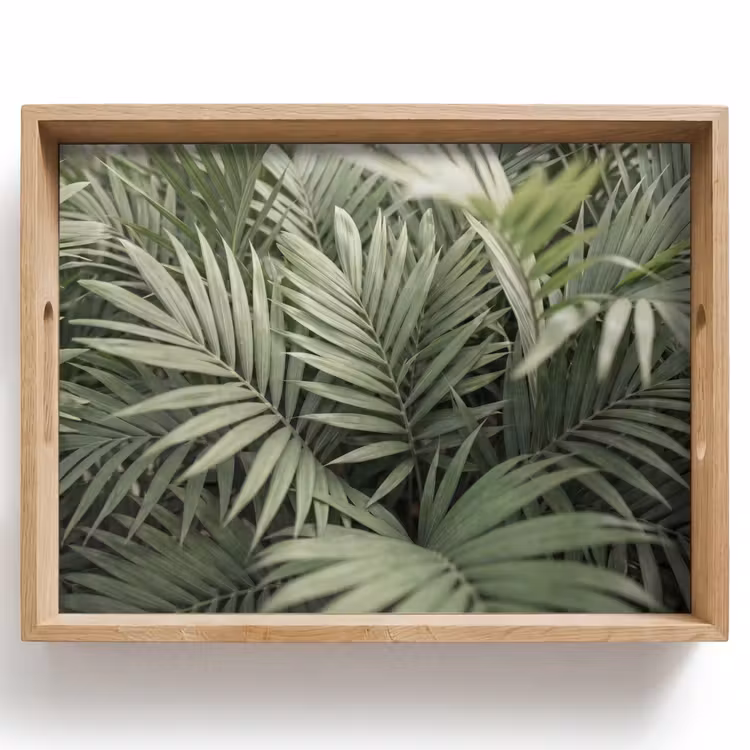 Dienblad - Plant - Palmbladeren - Natuur - Groen — 1