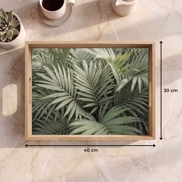 Dienblad - Plant - Palmbladeren - Natuur - Groen — 9