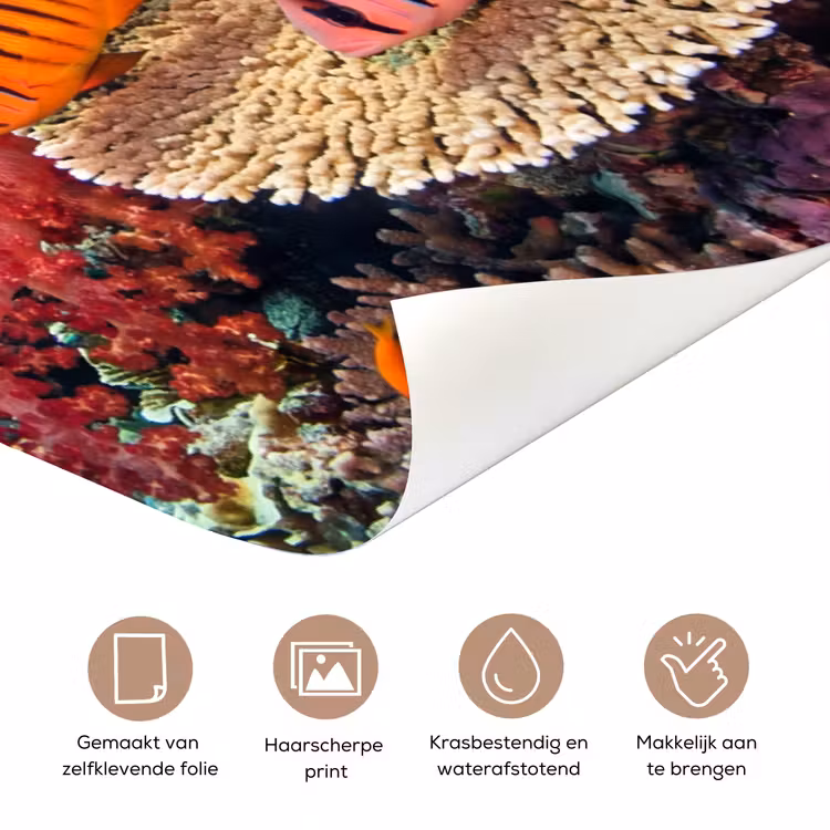 Deursticker - Koraalrif - Vissen - Onderwater - Tropisch - Rood — 3