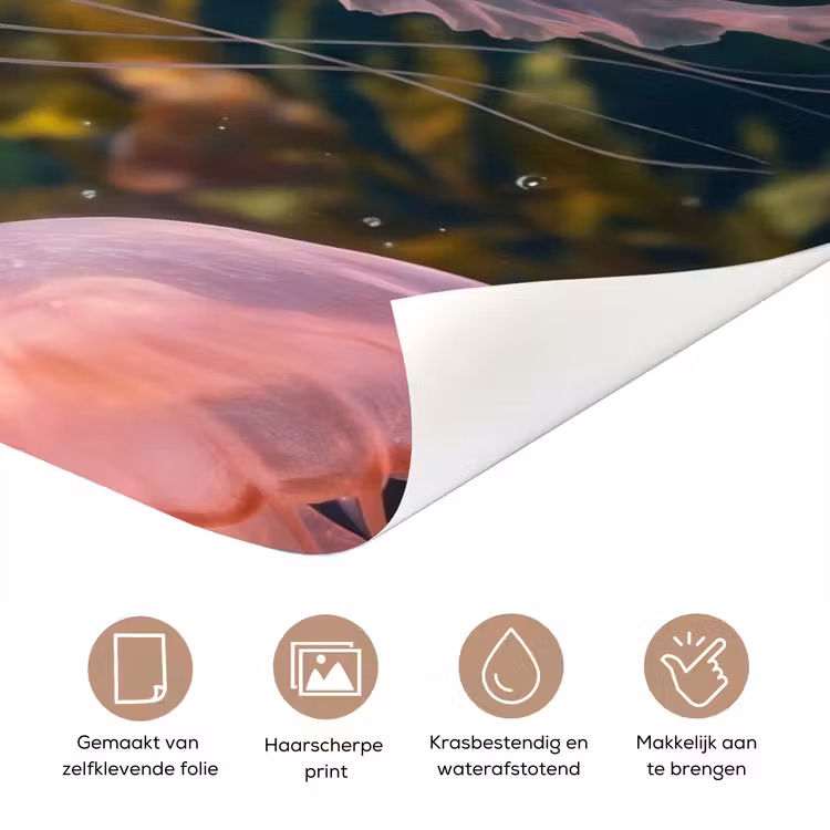 Deursticker - Kwal - Roze - Onderwater - Zeeleven - Dieren — 3