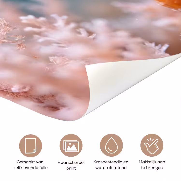 Deursticker - Vis - Koraal - Oceaan - Macro - Oranje — 3