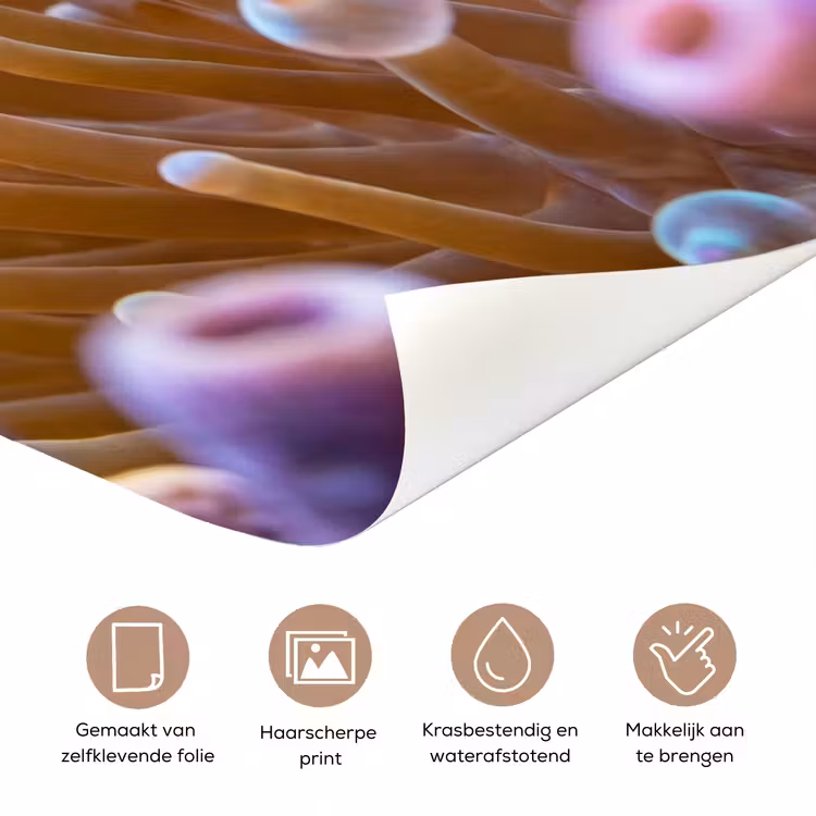 Deursticker - Vis - Koraal - Onderwater - Oranje - Dieren — 3