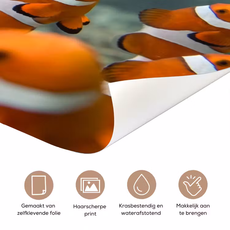 Deursticker - Vis - School - Onderwater - Dieren - Oranje — 3