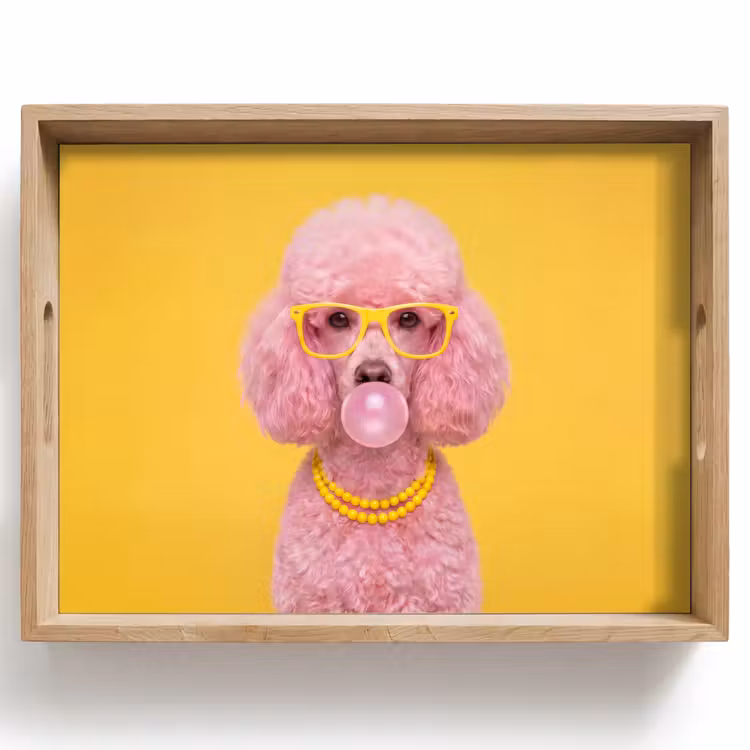 Dienblad - Hond - Kauwgum - Dieren - Modern - Roze — 1
