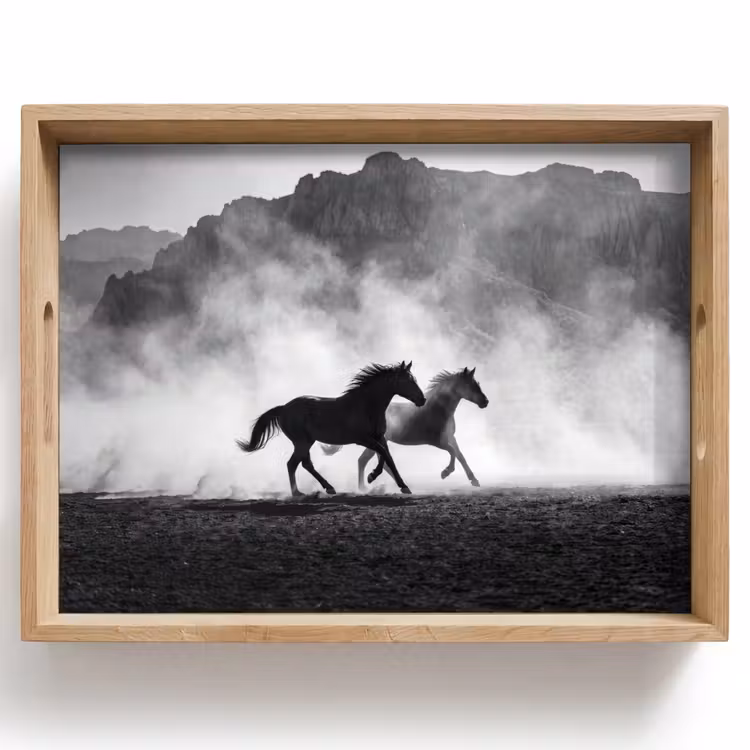 Dienblad - Paard - Ren - Stof - Zwart-wit - Dieren — 1